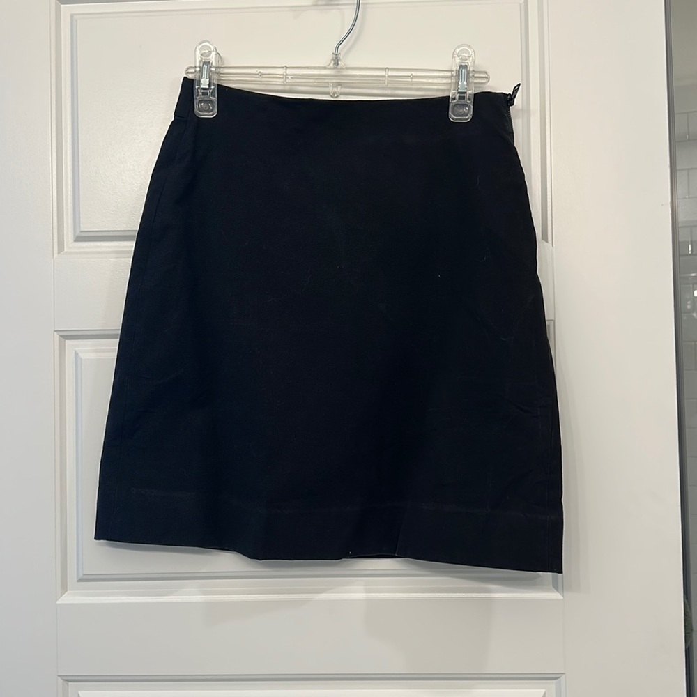 Everlane Skirt